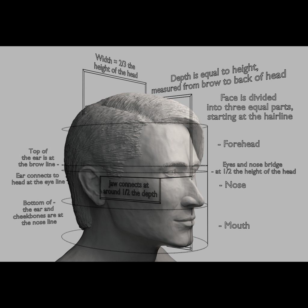 Proportions of the Face preview image 5